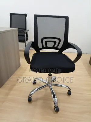 Low Back Mesh Chair