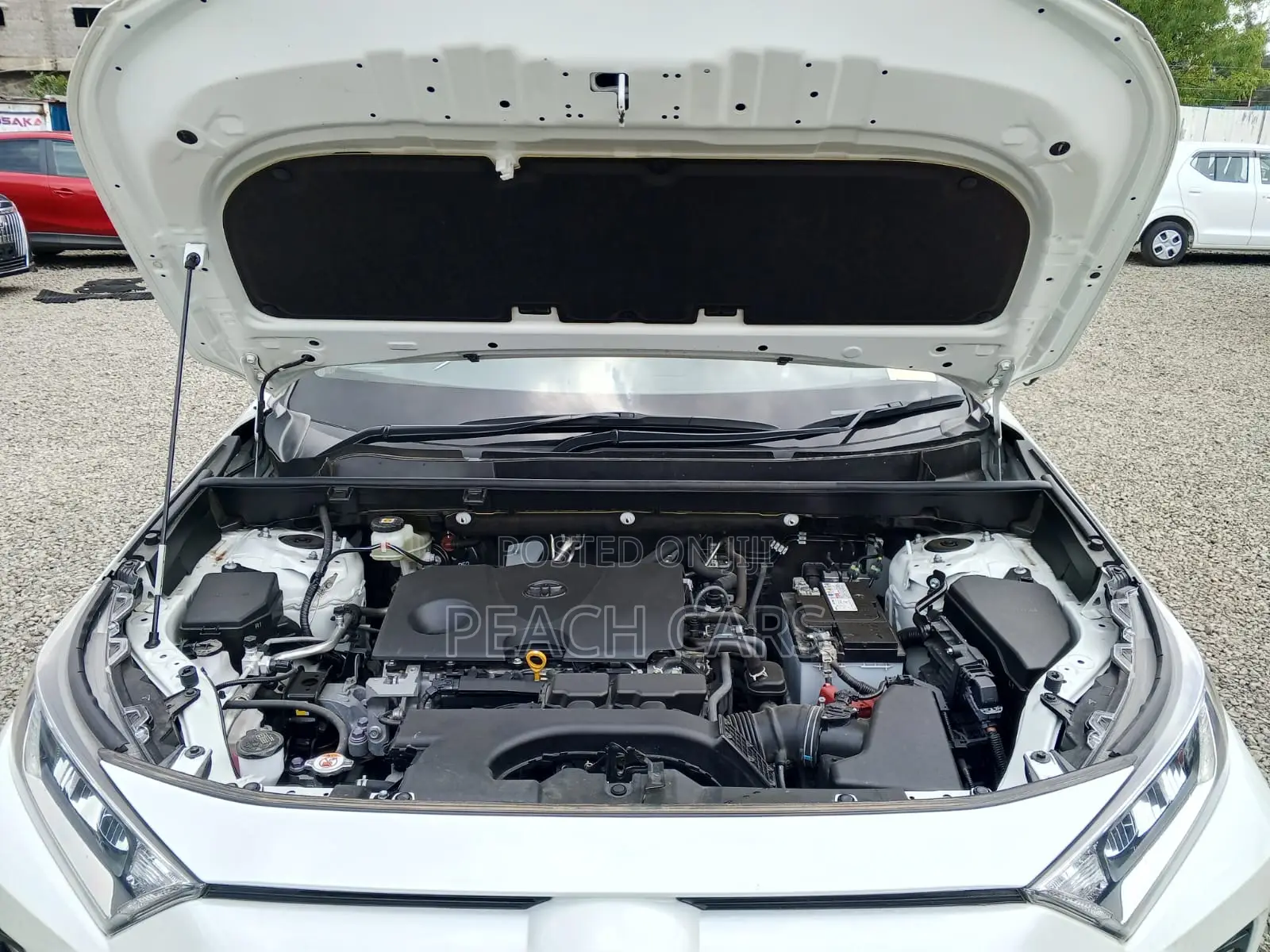 Toyota RAV4 2020 White