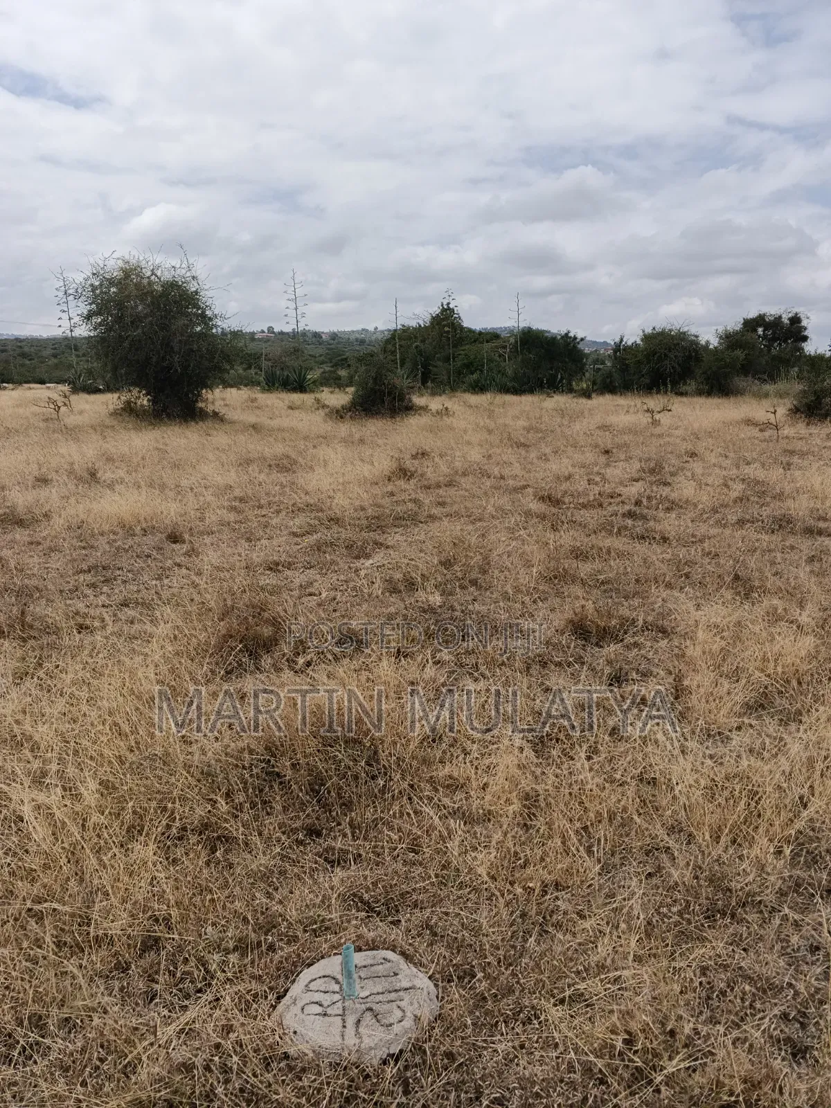 Plot for Sell