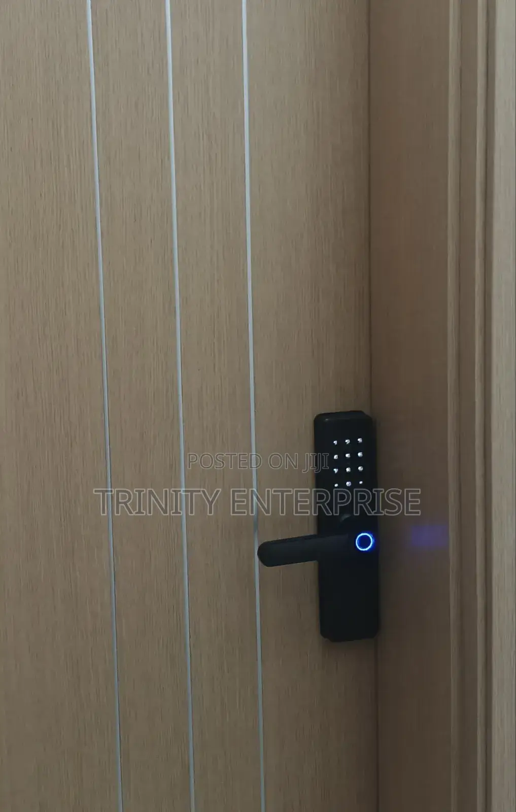 Smart Biometric Smart Lock Tuya Wifi App Fingerprint