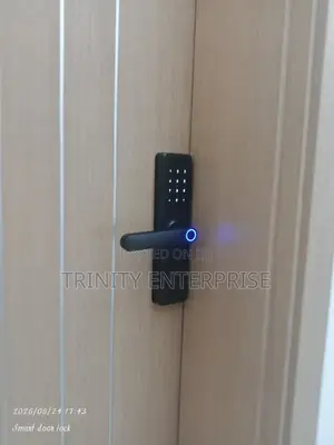 Smart Biometric Smart Lock Tuya Wifi App Fingerprint