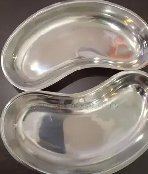 Large Kidney Dish (Stainless Steel)