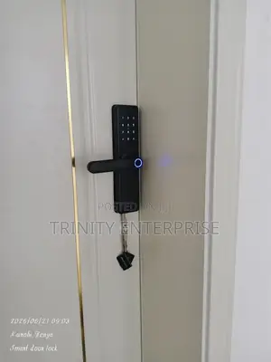 Wi-Fi Smart Door Locks for Wooden Doors Biometric Fingerprint