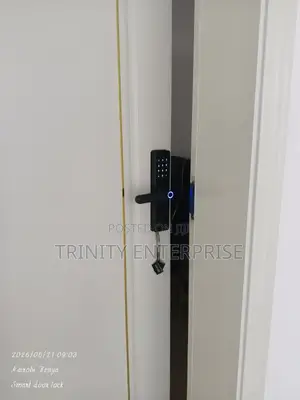 Smart Fingerprint Handle Door Lock With Tuya App Remote Control