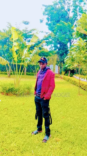 I Am Looking for Any Job
