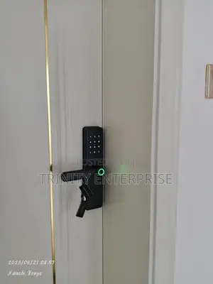 Digital Fingerprint Tuya Smart App Wifi Door Locks