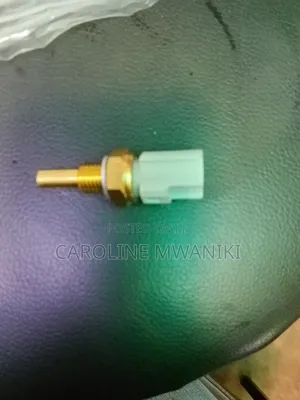 Genuine Water Temperature Sensor