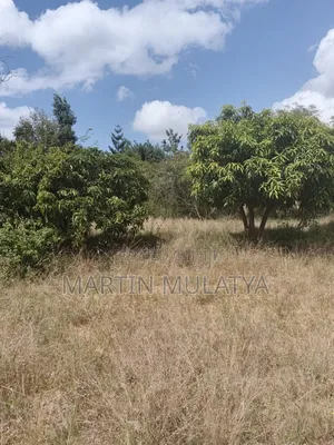 Land For Sell