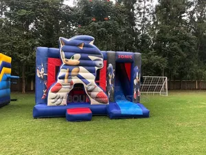 Sonic Themed Bouncing Castles for Rentals