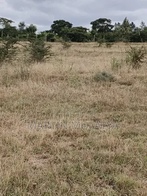 Plot for Sell