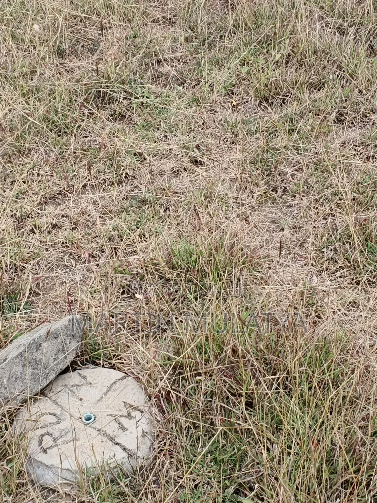Plot for Sell