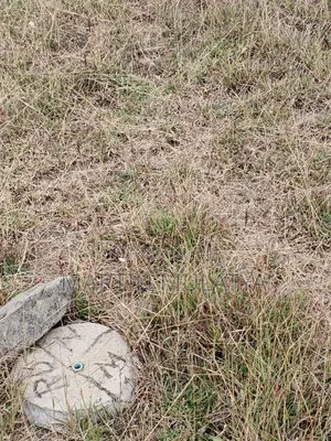 Plot for Sell