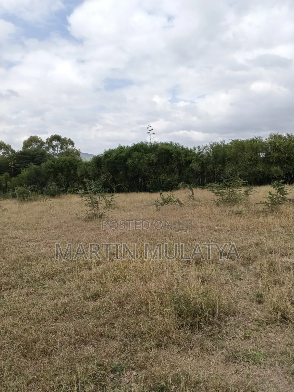 Plot for Sell
