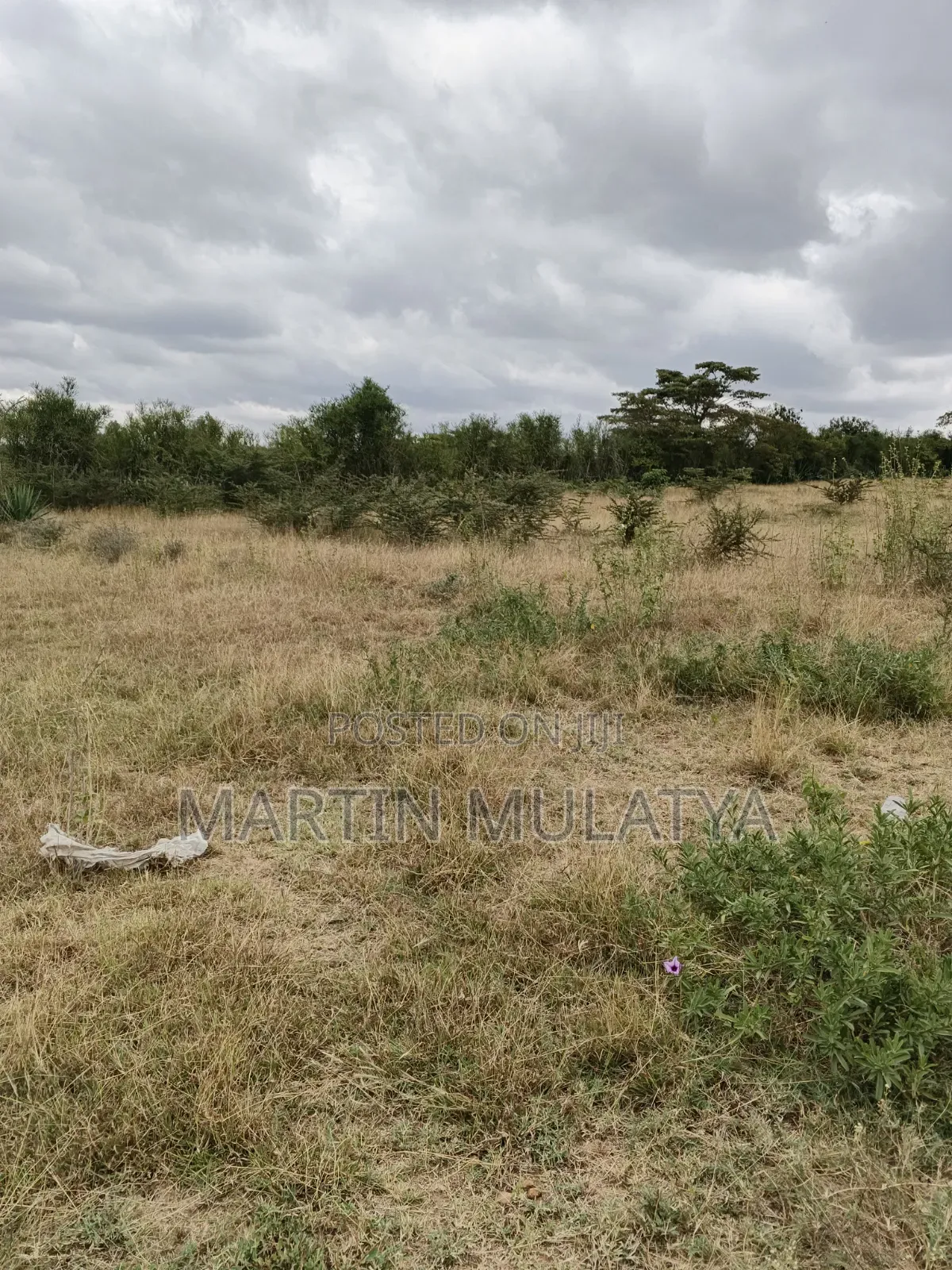 Plot for Sell