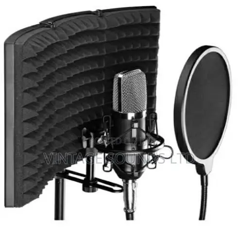 Microphone Isolation Shield