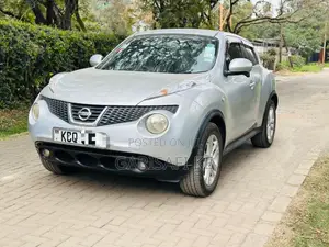 Nissan Juke 2011 Silver