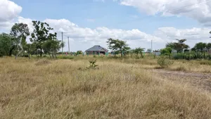 Jujafarm 50x80 Plots for Sale.