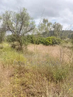 2.5acres at Makutano