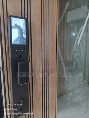 Smart Lock 3d Face Recognition Smart Locks for Front Door Tuya Wifi