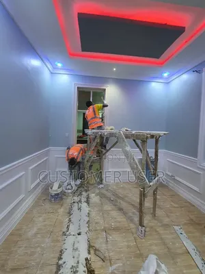 Professional Painter