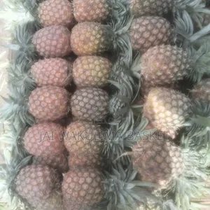 Jai Wakulima Basket