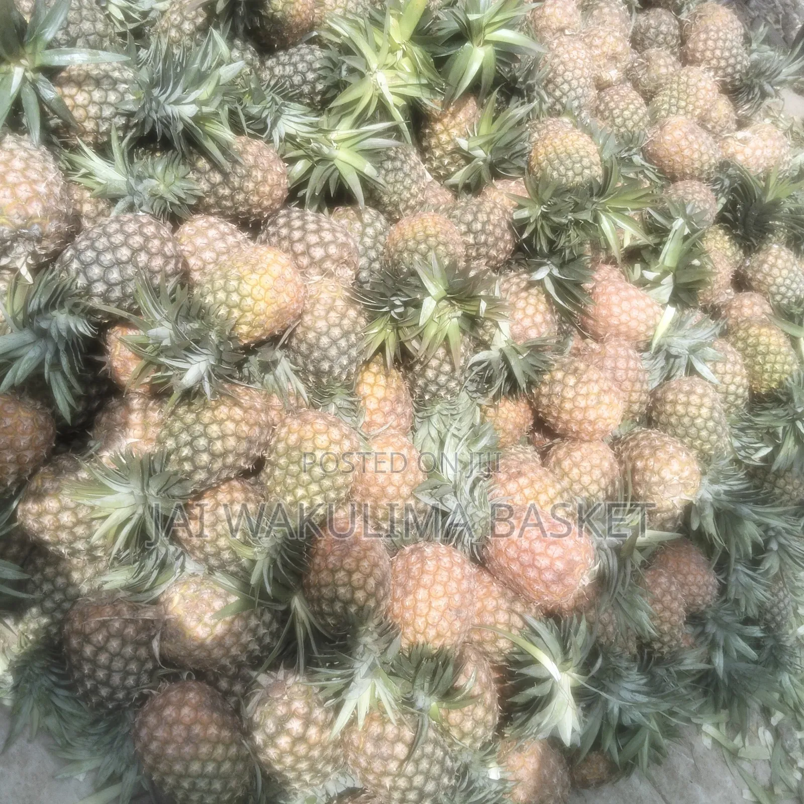Jai Wakulima Basket