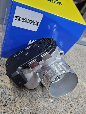 Audi Throttle Body