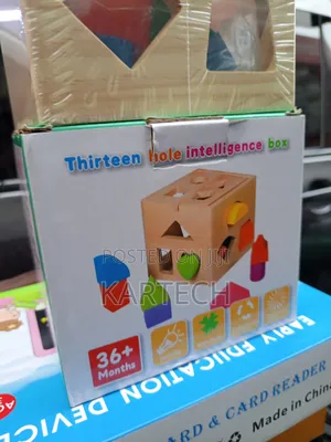 Wooden 13-Hole Shape Sorting Intelligence Box