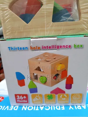 13-Hole Shape Sorting Intelligence Box