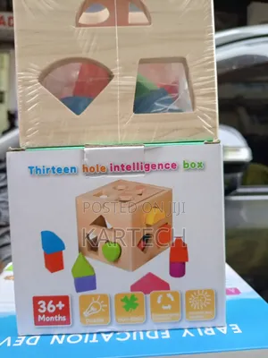 Educational Intelligence Box – 13 Shape Matching Holes