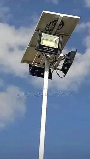 300 Watts Lithium Battery Inbuilt Automatic Solar Floodlight