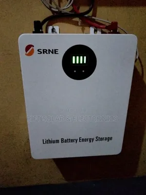 Srne(100ah) 2.56kwh - 25.6v Lithium Ion Solar Battery 4 Years Warranty