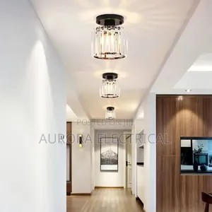 Ceiling Light/Pendant Light.