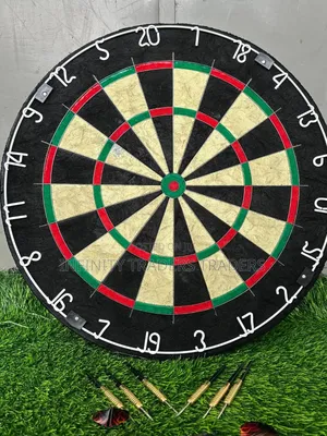 Professional Dart Board