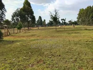 1⁄8 Plots for Sale in Kabongo Kapsaret Eldoret.