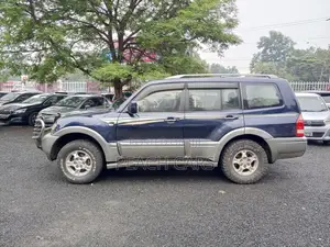 Mitsubishi Pajero 2003 Blue