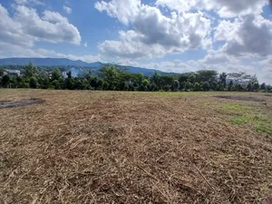 6 Acres of Prime Land for Sale in Matasia, Ngong