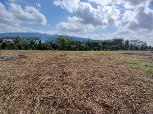 Prime Redsoil Half Acre Land in Matasia Near Eaglecrest Intn'l School