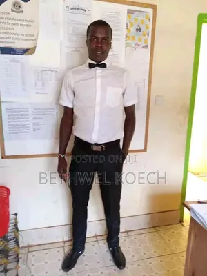 Experienced Mathematics Chemistry Teacher