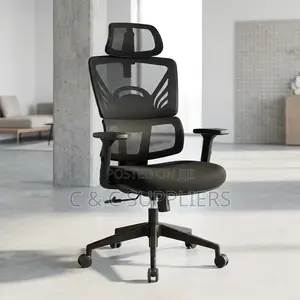 Orthopedic Reclining Modern Chair