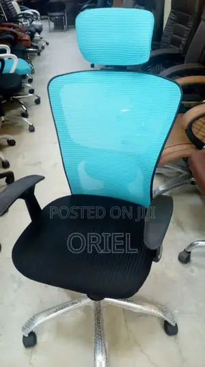Office Chair : Revolving Mesh Office Chair
