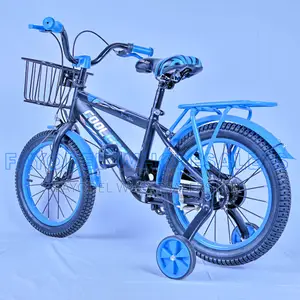 Coolest 20" Bicycle – Black and Blue