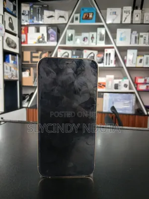 Apple iPhone 12 Pro Max 128 GB Gray
