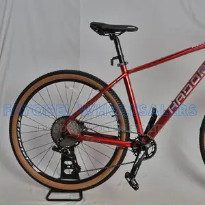 Hador 29er Bike for Road and Trail Riding