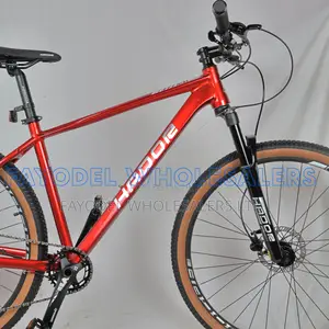 Hador 29er Bike for Road and Trail Riding