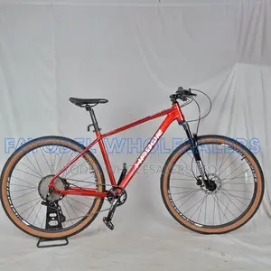 Hador 29" Bicycle With Lightweight Frame