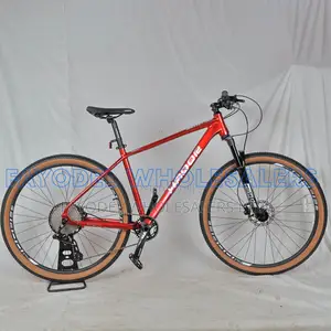 Hador 29" Bicycle With Lightweight Frame