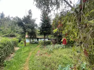 Land On Sale