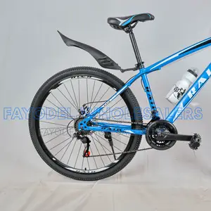Raid 29 Inch Mountain Bike