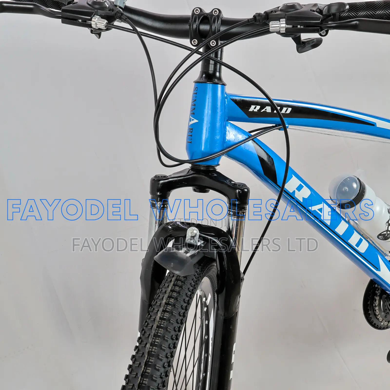 Raid 29" Mountain Bike – Blue